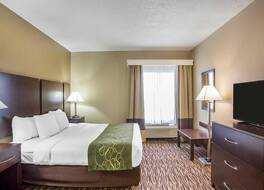 コンフォート スイーツ レバノン 写真