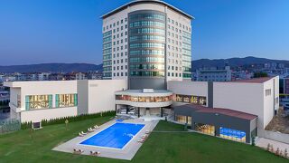 デデマン トカト