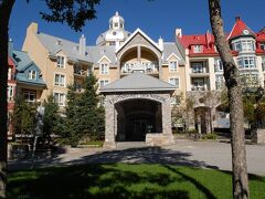 ソメ デ ネージュ 写真