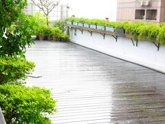 シーザー パーク ホテル 台北 写真