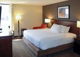 マスタング イン