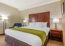 コンフォート イン レノア シティ-ノックスビル