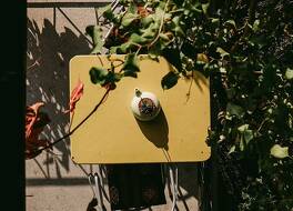 ホテル ゼービヒル 写真