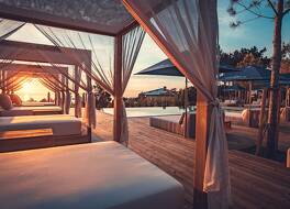 チャーム ネイチャー