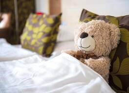 ホテル ショプロン 写真