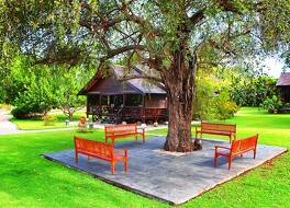 サマワ シーサイド リゾート 写真