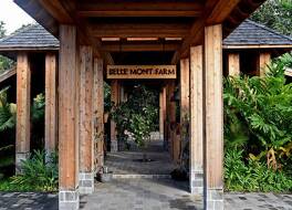 ベル モン サンクチュアリ 写真