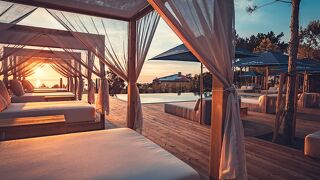 チャーム ネイチャー