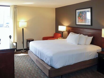 マスタング イン 写真