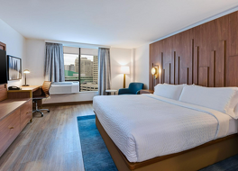 Hotel Indigo Detroit Downtown, an IHG Hotel By IHG 写真