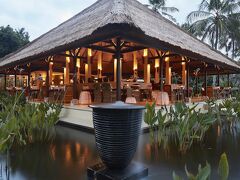 アリラ マンギス 写真