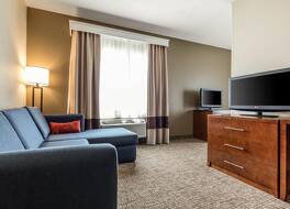 コンフォート イン ラ ポルト 写真