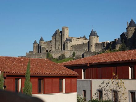 アドニス カルカソンヌ 写真