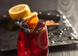 ハイアット プレイス シカゴ ミッドウェイ エアポート 写真