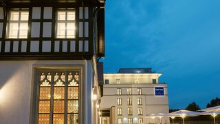 ドリント ホテル フランクフルト オーバーウルゼル