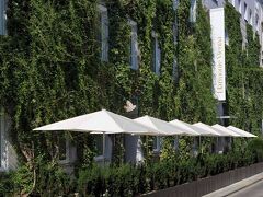 ハーモニー ウィーン 写真