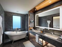 ハイアット  リージェンシー ジャイプール マンサロバー 写真