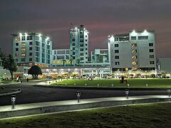 モモ イン 写真