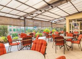 ビア ガーデン イン 写真