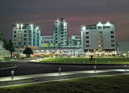 モモ イン 写真