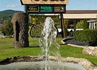 ティキ リゾート ウインフィールド バイ マスター ホストの宿泊予約 料金比較 フォートラベル Tiki Resort Wynfield By Master Host アメリカ