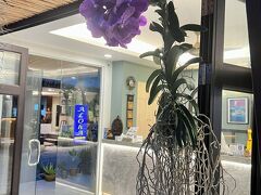 アロハ レジデンス 写真