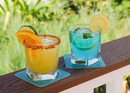 Hilton Garden Inn St. Pete Beach 写真