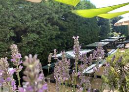 プルミエール クラッセ ペルピニャン シュッド 写真