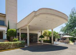 CRISOL JARDINES CORDOBA 写真