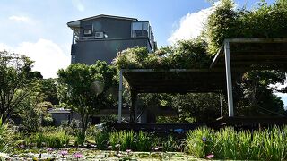 レインボー ブリッジ B&B