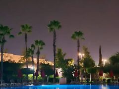 パーム プラザ ホテル&スパ 写真
