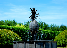 The Old Hall Ely 写真