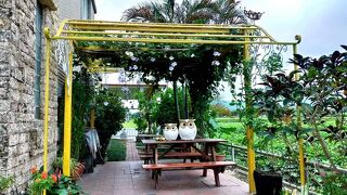 エバーグリーン ガーデン ホーム