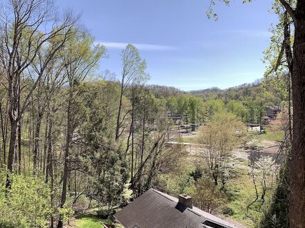 ローレル イン コンドミニアム 写真