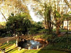 ホリデイ イン ヨハネスブルグ サニーサイド パーク バイ IHG 写真