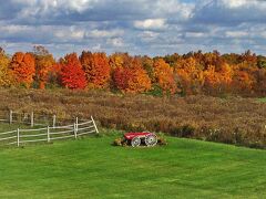 ロス ガトス ベッド & ブレックファースト 写真