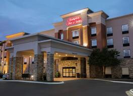 ハンプトン イン&スイーツ シカゴ ディアー パーク 写真