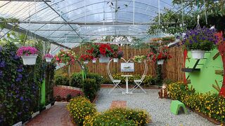 グラムズ ヒルズ