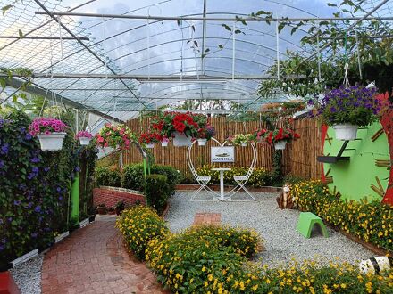 グラムズ ヒルズ 写真