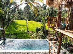 バリ バンブー ジャングル ハット アンド ホステル 写真