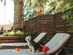 Sunsquare Cape Town 写真