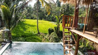 バリ バンブー ジャングル ハット アンド ホステル