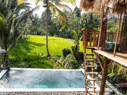 バリ バンブー ジャングル ハット アンド ホステル 写真