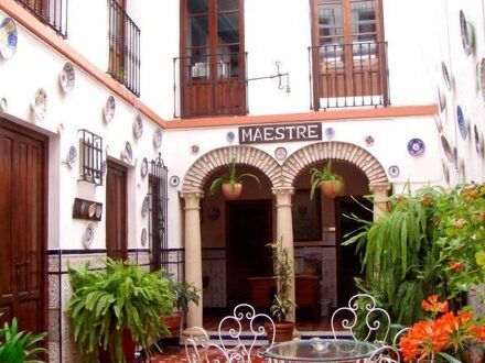 マエストレ 写真