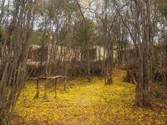 Hotel Waya Guajira 写真