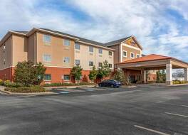 コンフォート スイーツ ベイツビル 写真