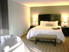 ハンプトン イン&スイーツ デトロイト カントン 写真