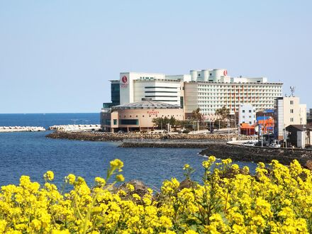 ラマダプラザ済州 写真