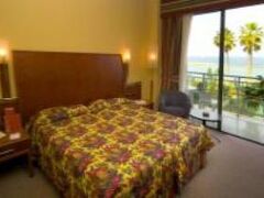 Bull Reina Isabel & SPA 写真