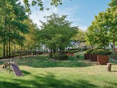 キノック ペット ホテル 写真